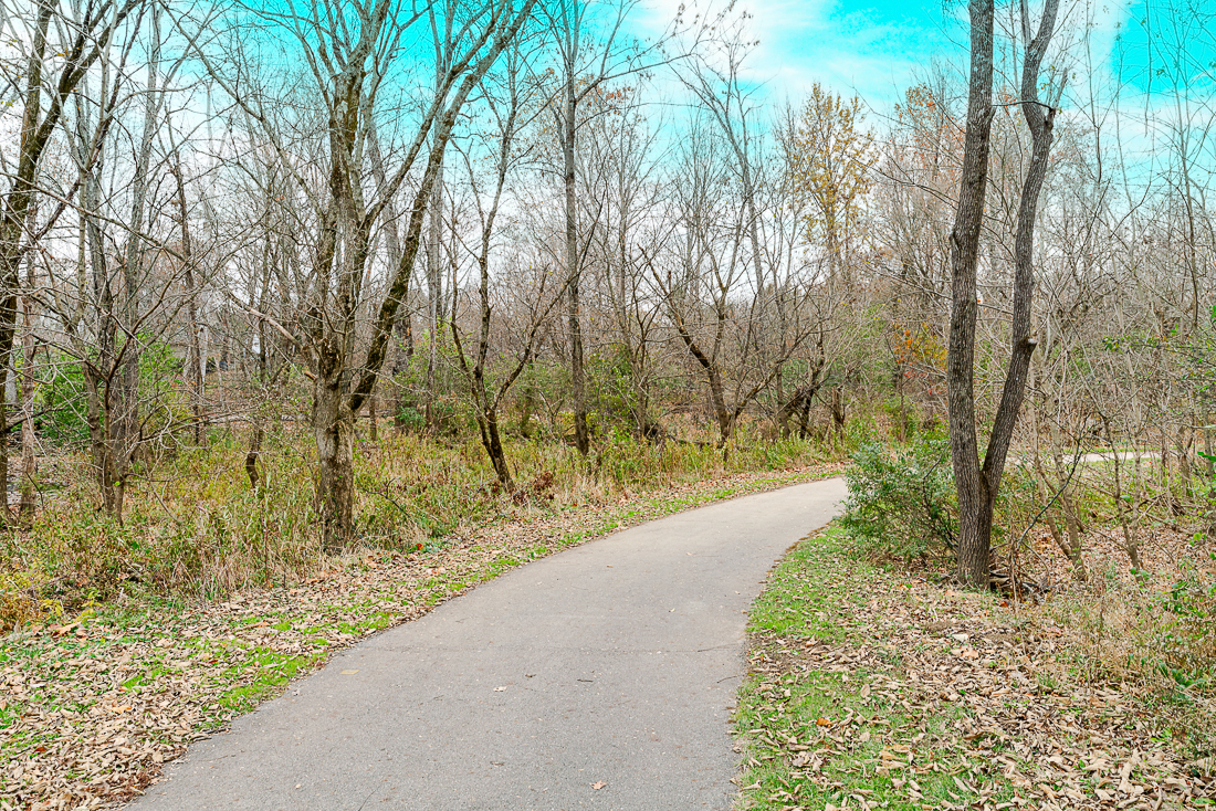 111 North Nob Hill-52