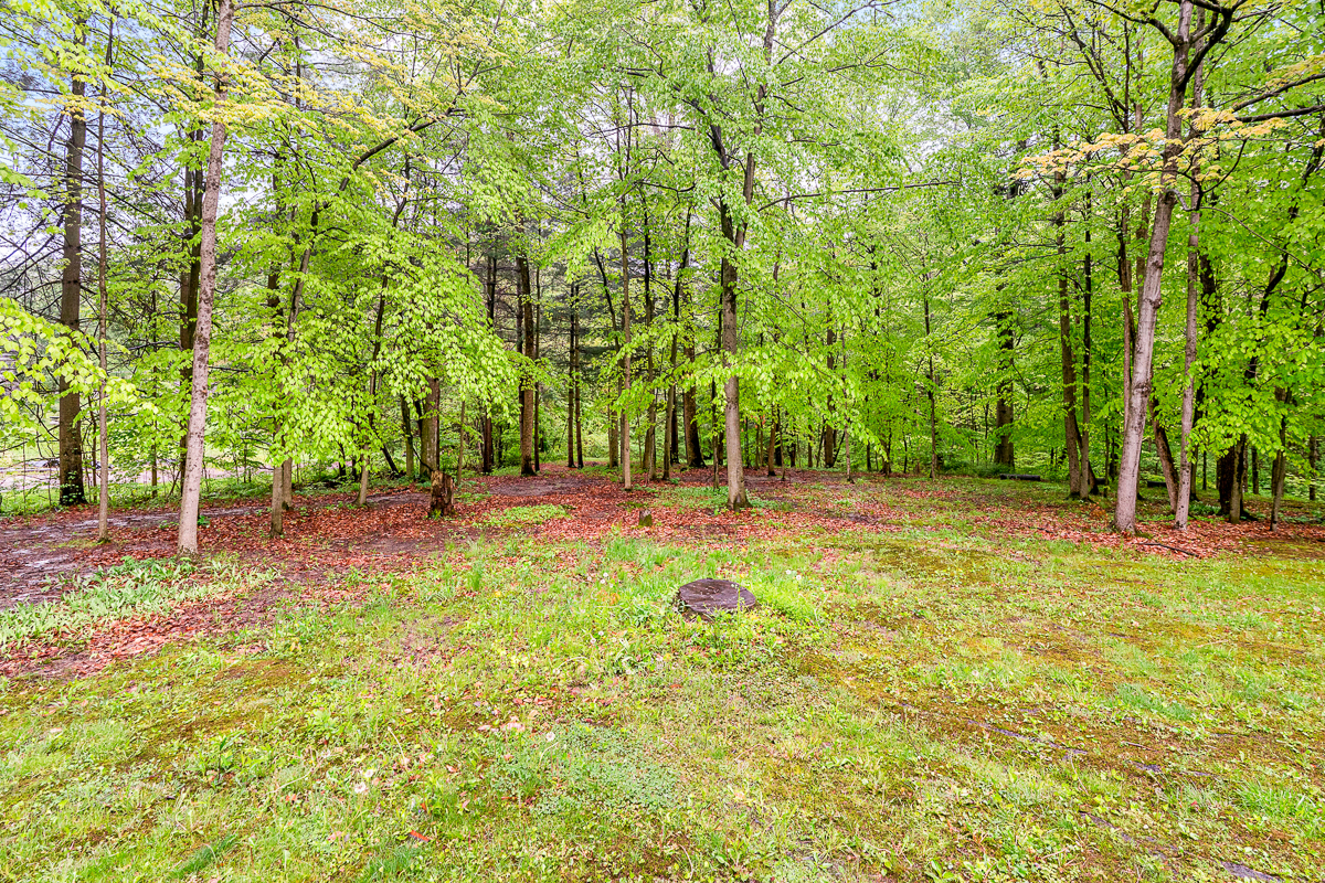 12643 Heimberger Rd NW-17