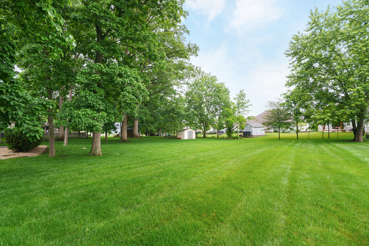 18204 Timber Trails Rd-10