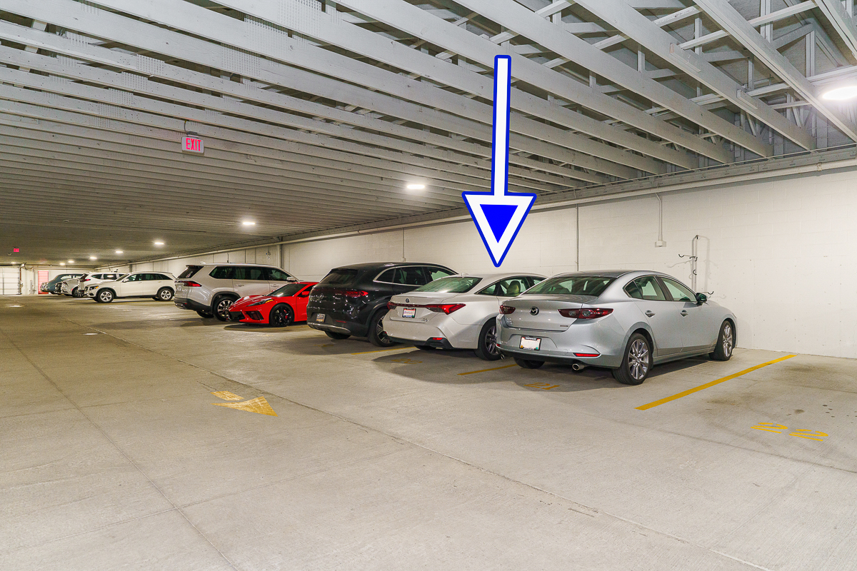 828 Bobcat Ave #205-33