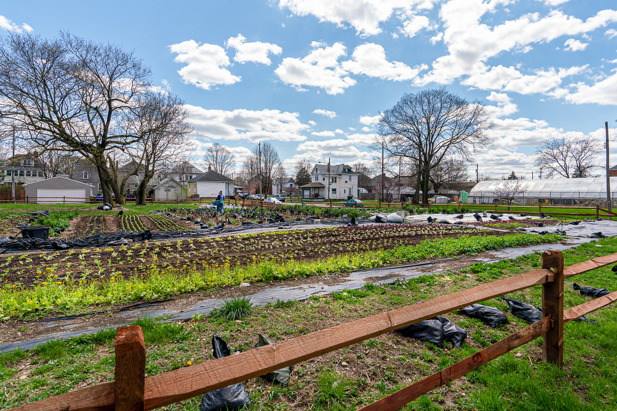 308 s Cypress Ave-38