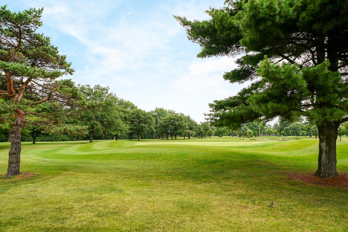 3706 Whitworth Way-39