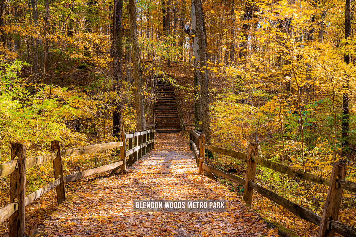 3836 Bentworth Ln-59