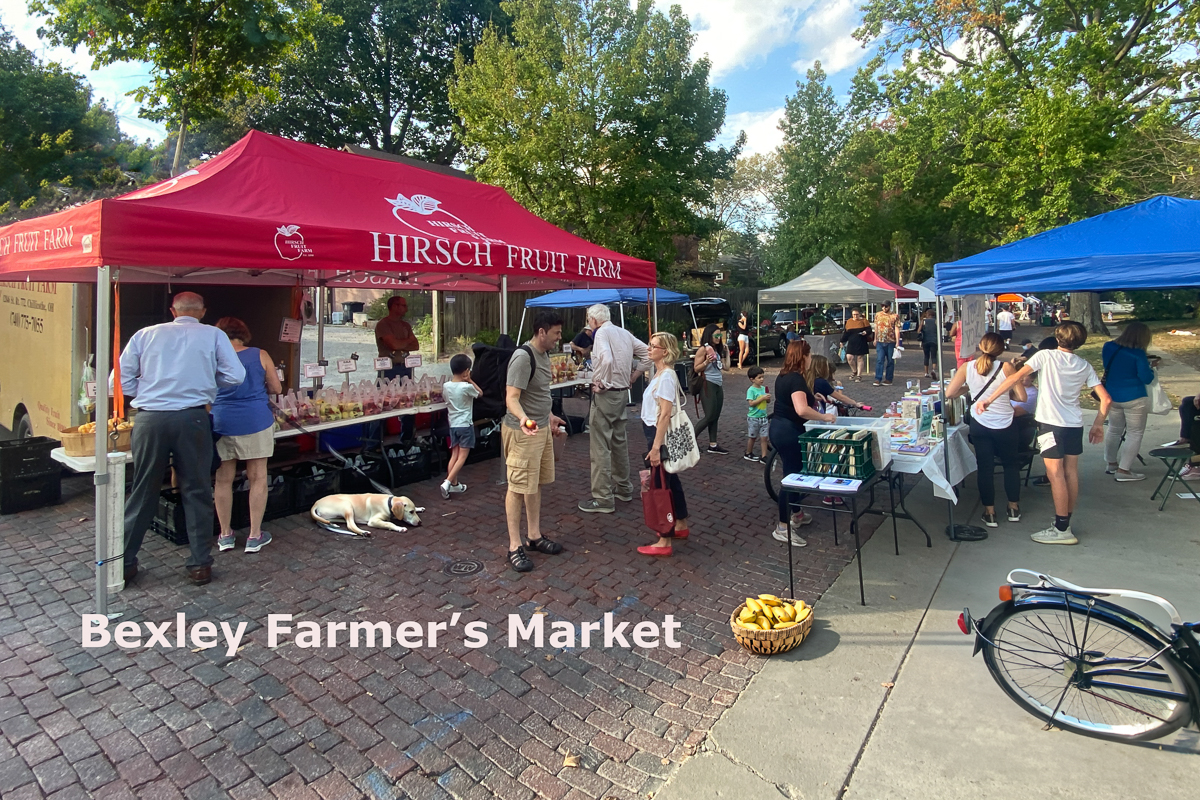 439 s Parkview Ave-100