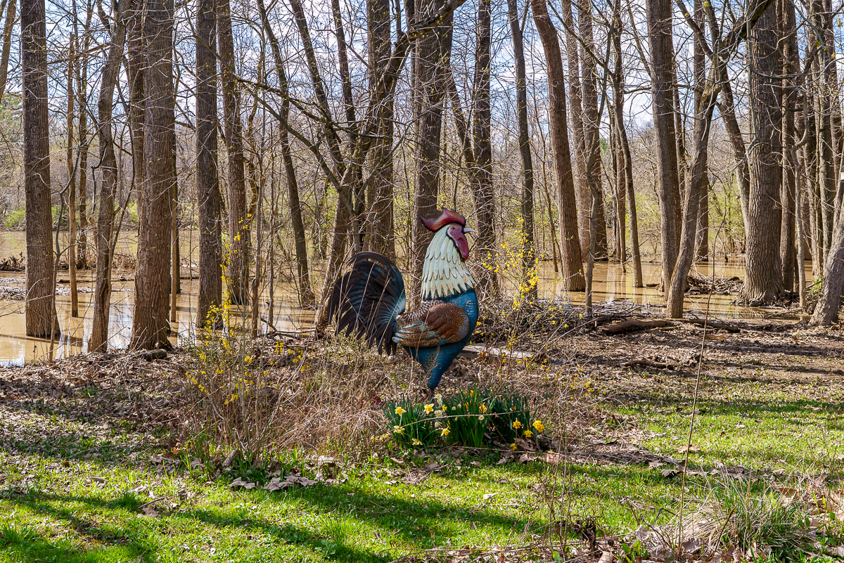 5000 Bellpoint Rd.-20