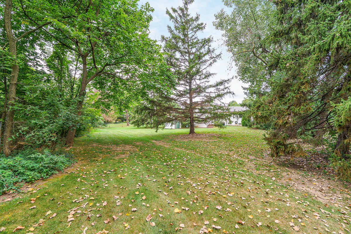 6297 Barberry Hollow-12