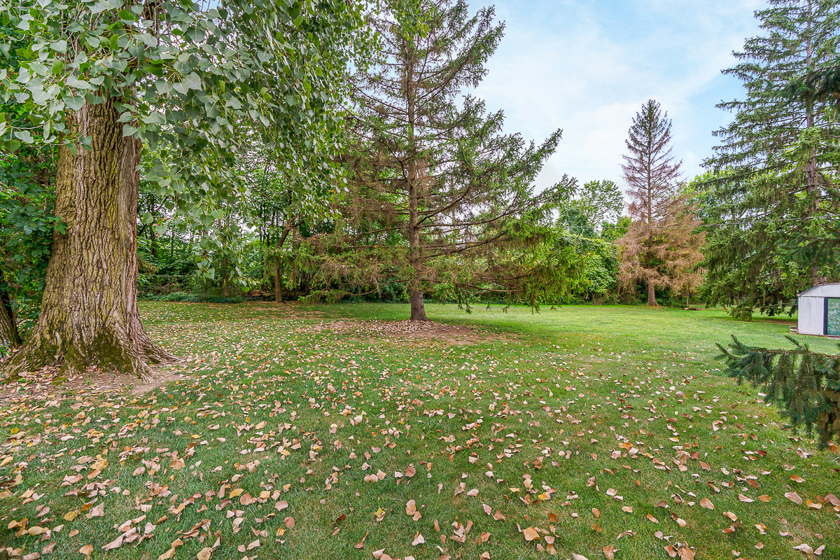 6297 Barberry Hollow-9