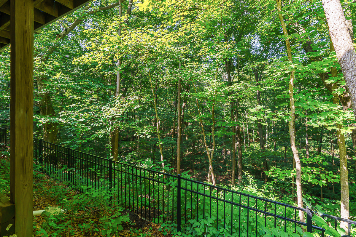 630 Woods Hollow Ln-14