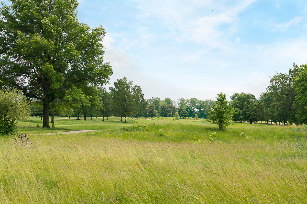 643 Buena Park Dr.-46