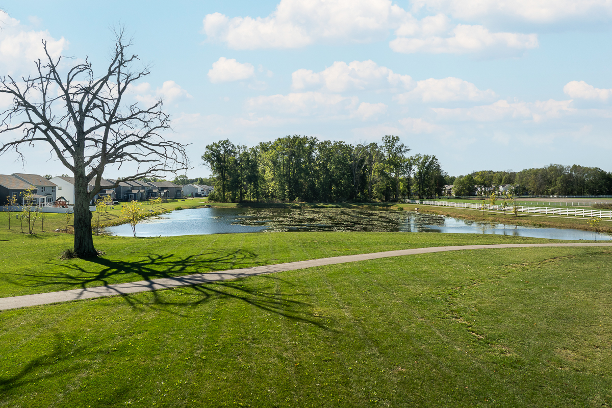 6643 Cold Mountain Dr.-48