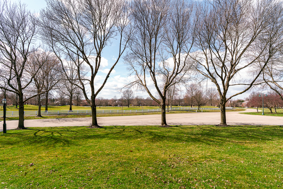 6988 Greensward Rd-8