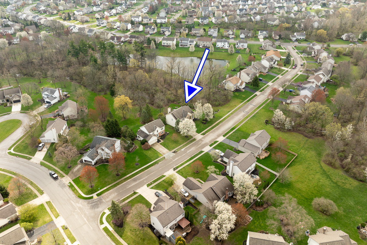 7799 Manorgate St.-3