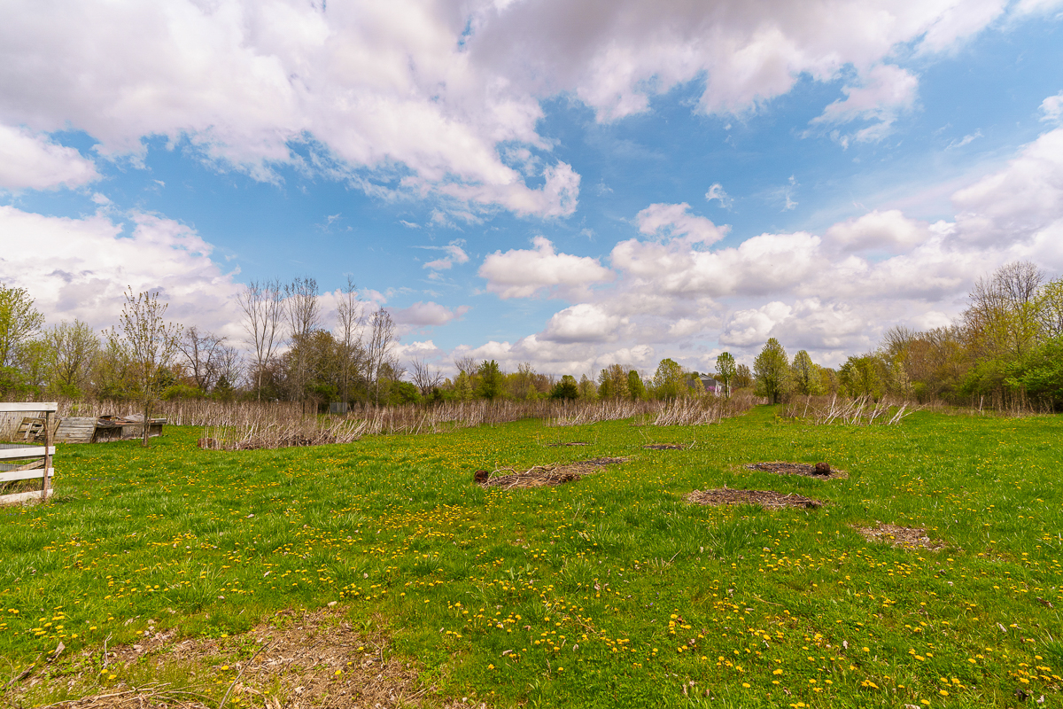 1653 Berlin Station Rd.-23