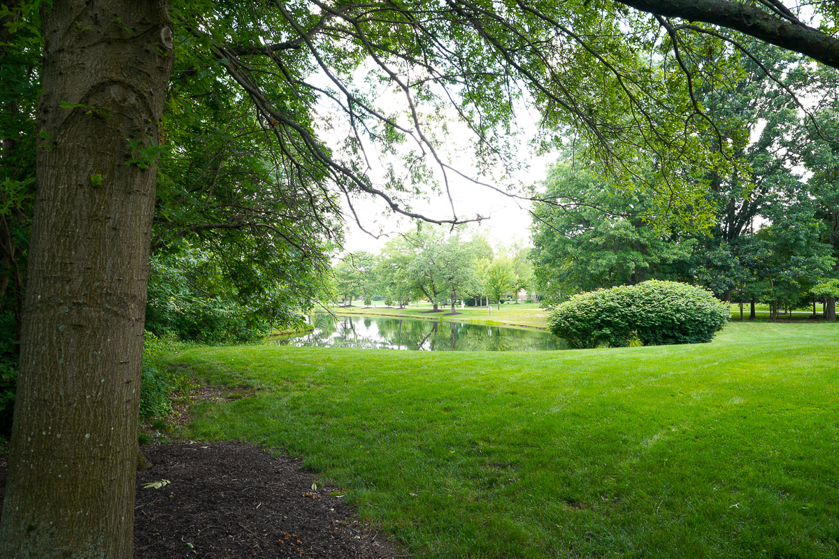 2820 Colts Neck Rd-ext-36