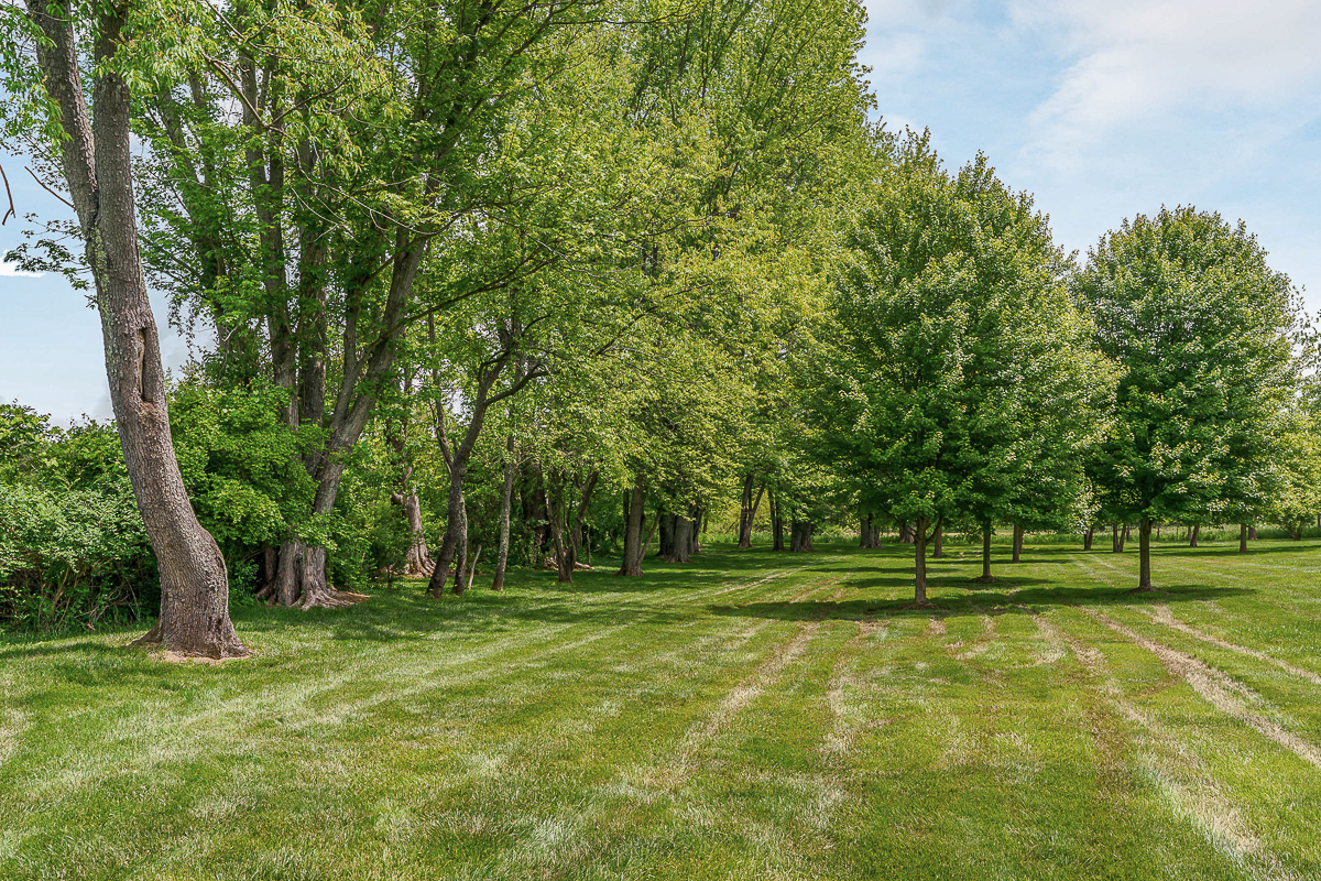 6008 Shala Cir -EXT-22