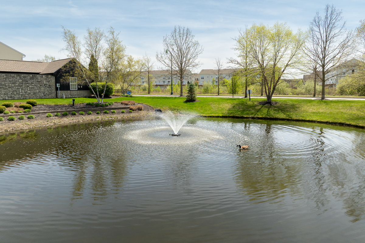 7165 Billy Goat Dr.-40