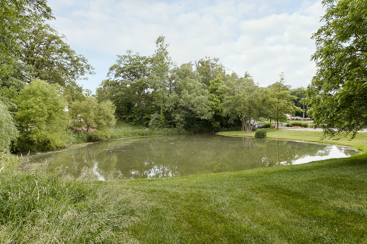 8528 Price Hilliards Rd-37