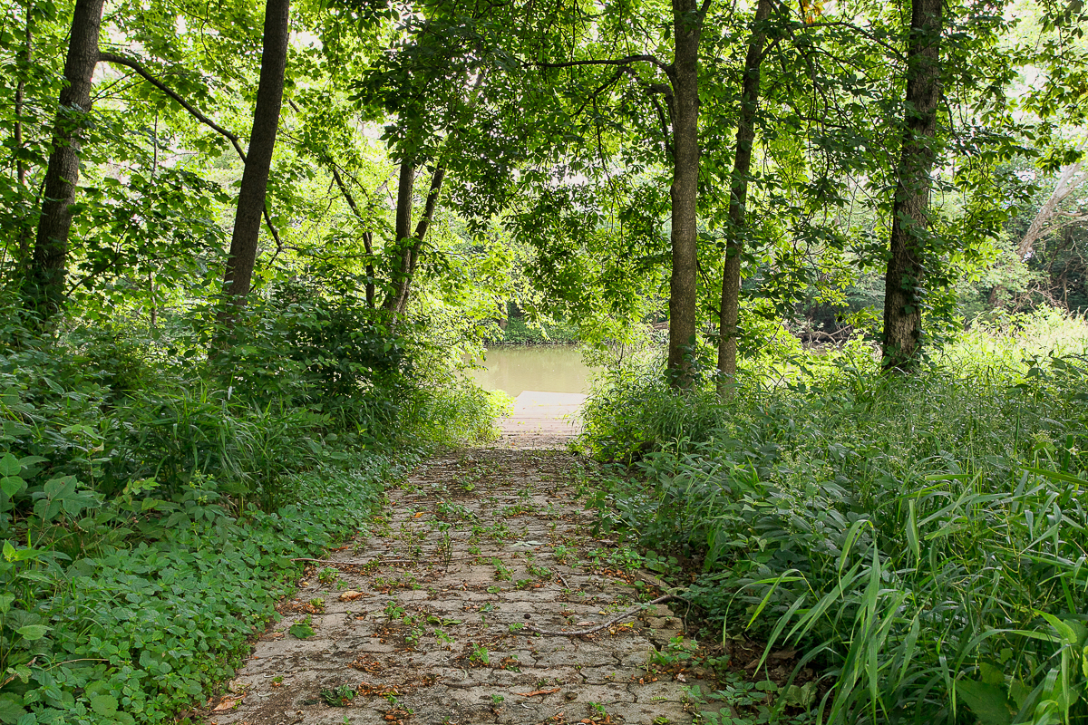 8528 Price Hilliards Rd-41