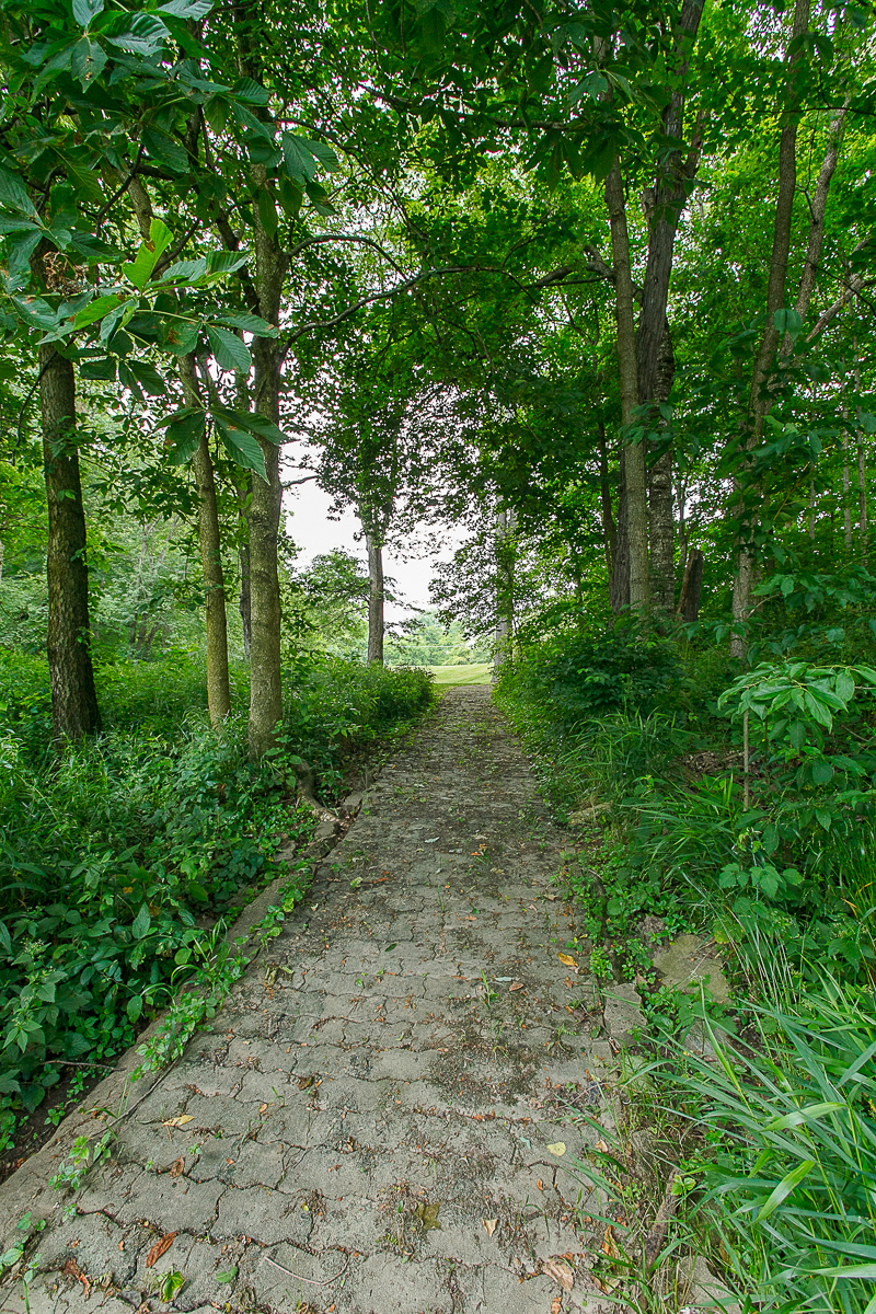 8528 Price Hilliards Rd-43