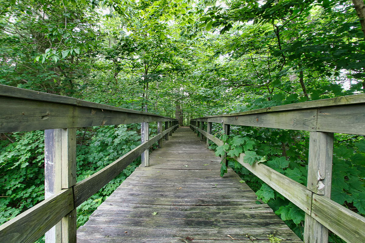 8528 Price Hilliards Rd-53