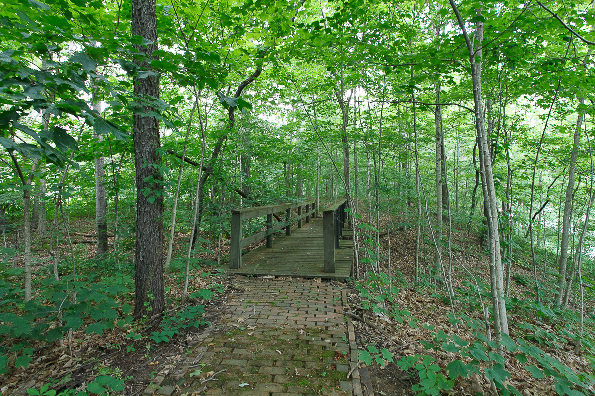 8528 Price Hilliards Rd-56