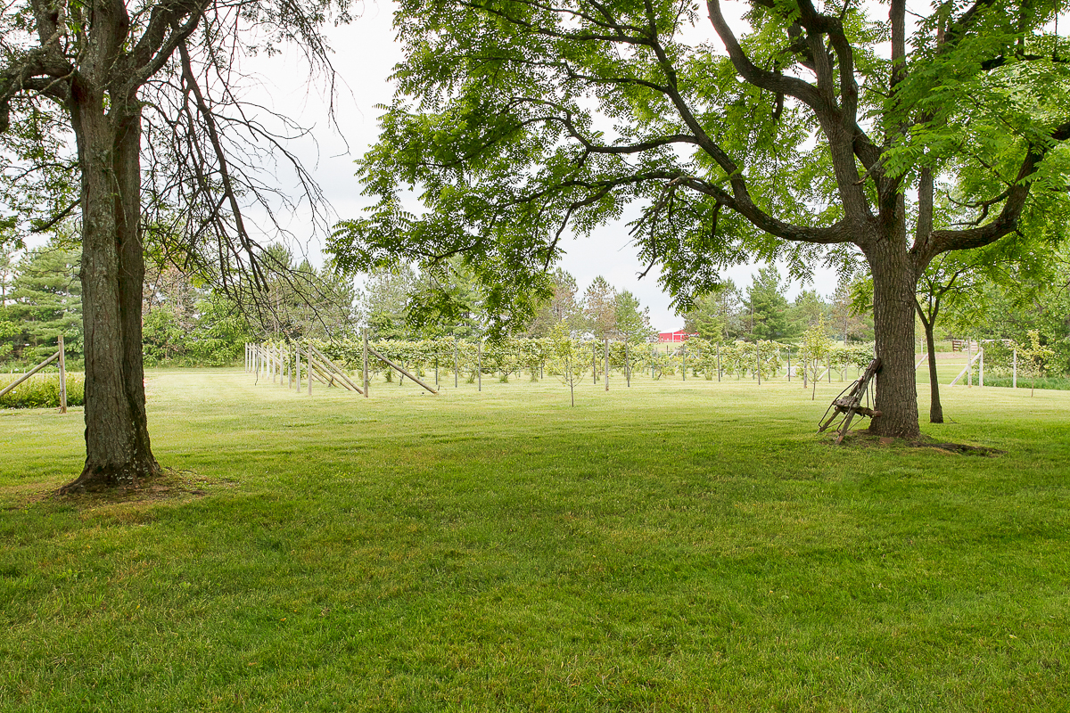 8528 Price Hilliards Rd-59