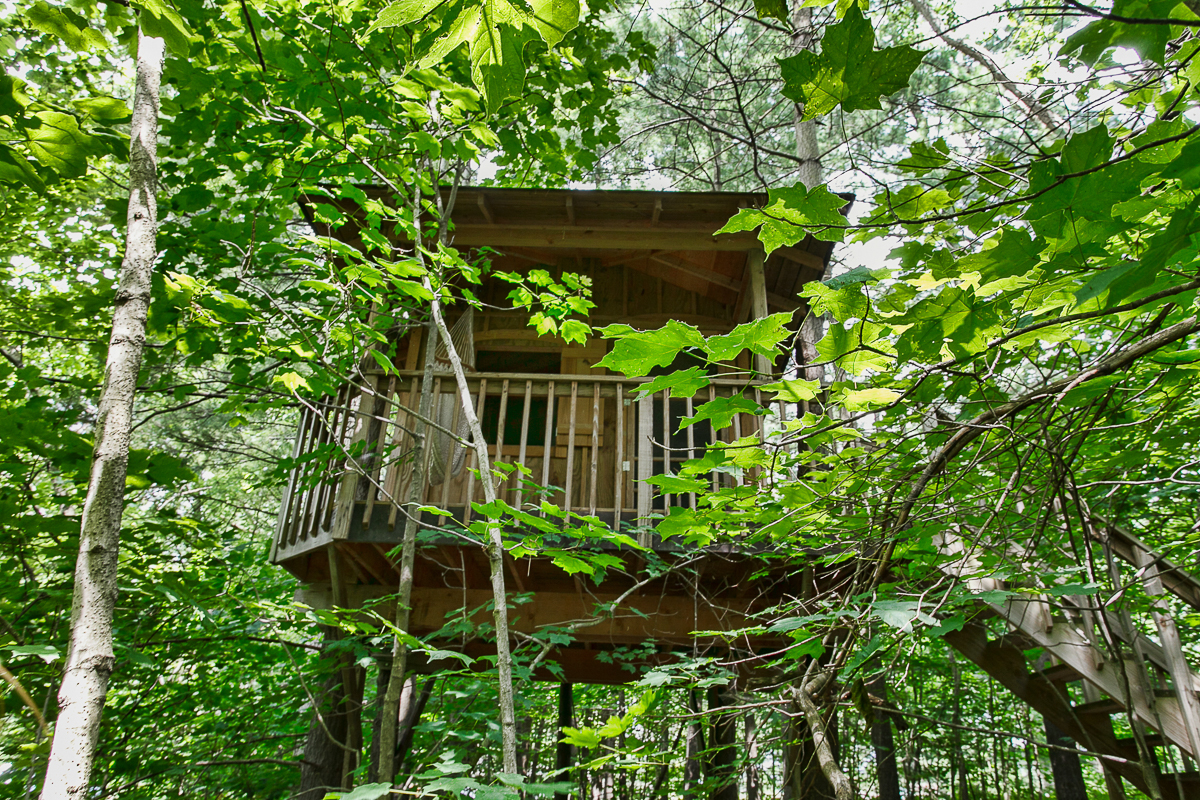 8528 Price Hilliards Rd-63